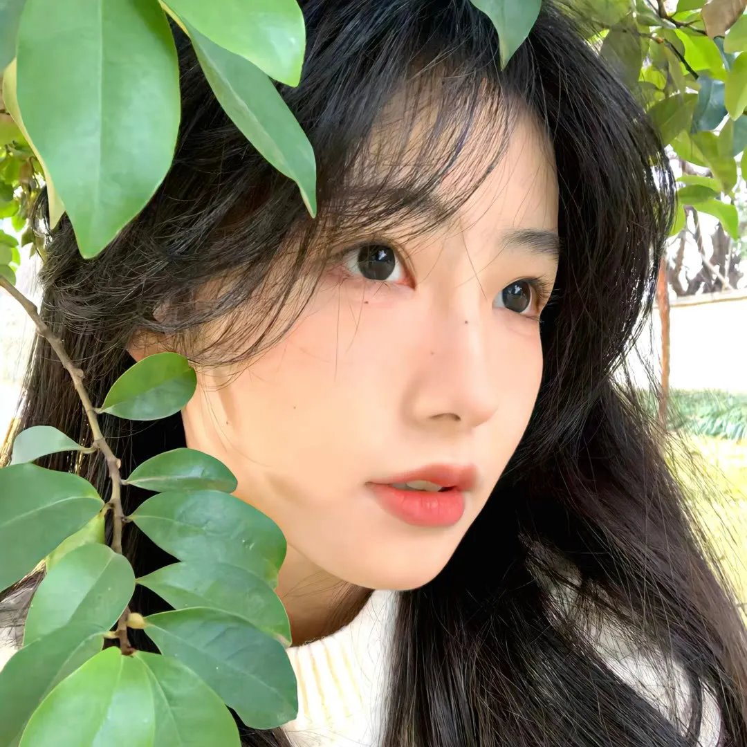 如懿传